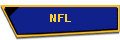  NFL 